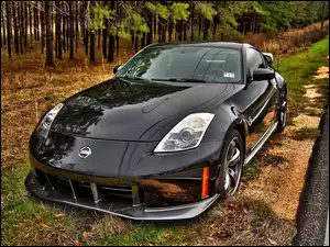 Pobocze, Nissan350Z, Las