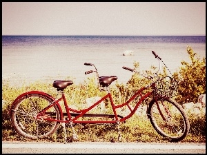 Trawy, Czerwony, Tandem, Rower, Suche