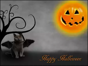Halloween, Drzewo, Kot, Dynia