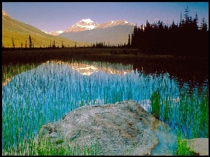 Kanada, Góra, Athabasca