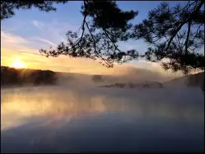 Gałąź, Jezioro, Mgła