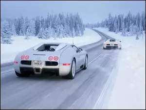 Bugatti, Zima, Droga, Lasy