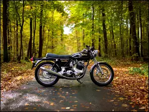 Jesień, Motocykl, Droga, Las, Liście