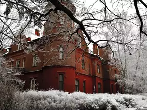 Krzewy, Zamek, Ośnieżone, Zima, Drzewa