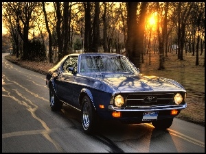 Zachód, Ulica, Ford, Granatowy, Słońca, Mustang, Park
