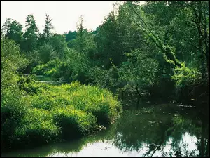 Rawka, Krajobrazowy, Bolimowski, Park