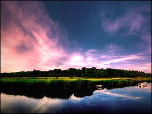 Łódki, Jezioro, Drzewa