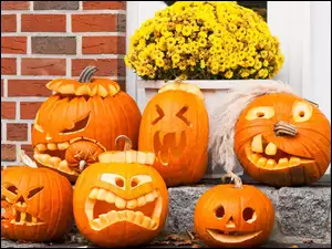 Halloween, Dynie, Kwiatki