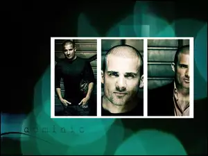 Dominic Purcell, Prison Break, zdjęcia