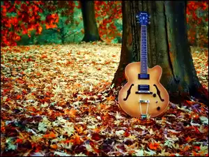 Liście, Gitara, Drzewo