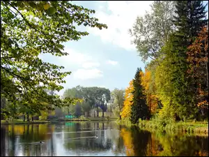 Rzeka, Jesień, Kaczki, Park