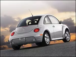New Beetle, Srebrny