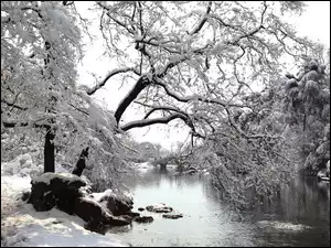 Zima, Rzeka, Most, Park, Ścieżka