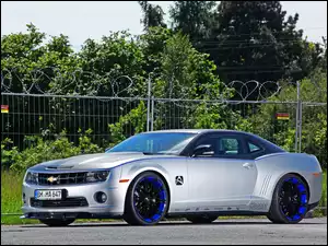 Drzewa, Chevrolet, Camaro
