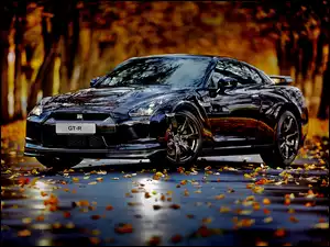 Nissan, Jesień, Granatowy, Blask, Samochód, GTR