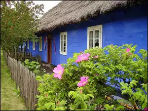 Ogródek, Skansen, Wiejska, Łowicki, Chata