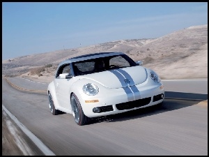 Volkswagen New Beetle