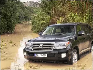 Toyota, Drzewa, Land Cruiser, Rzeczka