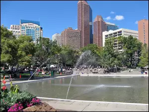 Miasta, Sadzawka, Calgary, Fontanny, Panorama, Park