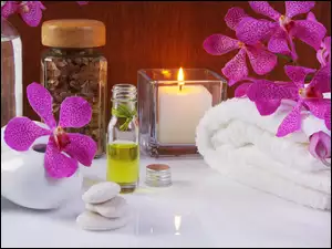 Świeca, Oliwka, Kompozycja, SPA, Storczyki, Minerały