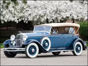 1931, Zabytkowy, Lincoln, Kwitnące, Phaeton, Drzewa, Sportowy, Droga
