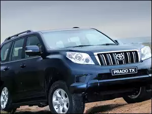Samochód, Cruiser, Toyota, Land