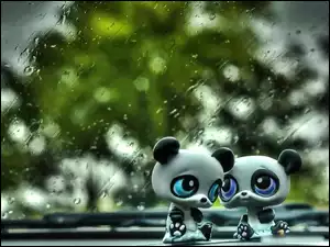 Dwie, Deszcz, Słodkie, Pandy