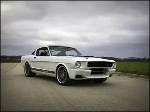 Ford Mustang Blizzard