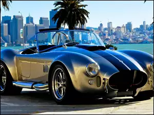 Shelby, Tuningowane, Cobra, Zabytkowy