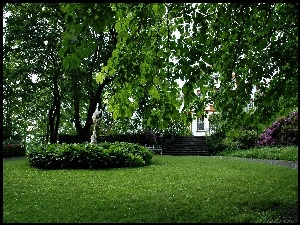 Trondheim, Ogród, Ringve, Botaniczny, Posąg