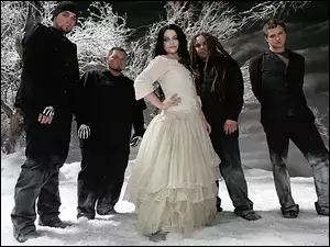 zespół, suknia, Evanescence, Amy Lee, muzyka, rock