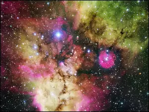 Kosmos, Gwiazdy