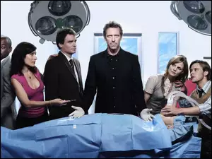 Hugh Laurie, Dr House, Aktorzy, Serial