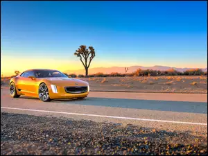 Żółty, Kia, GT4 Stinger