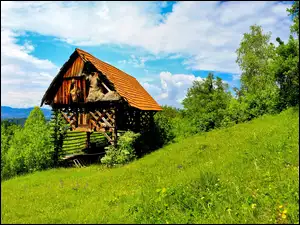 Szopa, Las, Góry, Łąka