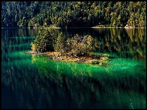 Las, Odbicie, Jezioro, Wyspa