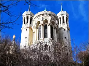 Katedra, Francja, Notre Dame, Paryż