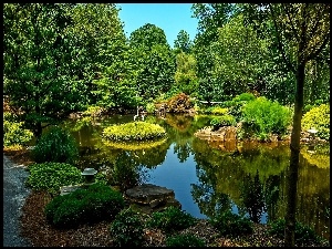 Park, Żurawie, Staw, Zieleń