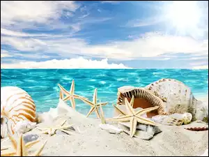 Muszelki, Grafika, Plaża, Morze, Piasek