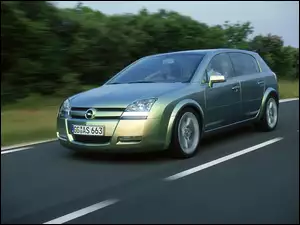 Opel Signum