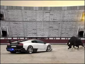 Lamborghini, Byk, Murcielago, Stadion