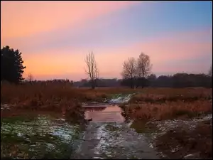 Śnieg., Droga, Woda, Ścieżka, Łąka