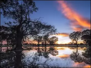 Zachód, Coonawarra, Odbicie, Drzewa, Słońca, Staw, Australia