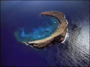 Laguna, Wyspa, Rogal