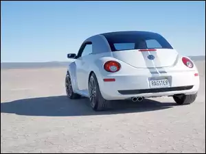 Volkswagen New Beetle