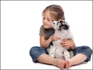 Owczarek australijski-australian shepherd, Dziewczynka, Szczeniak