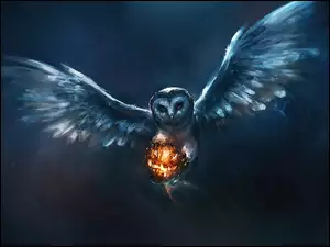 Grafika, Kula, Fantasy, Sowa