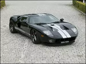 Maska, Ford GT, Wloty