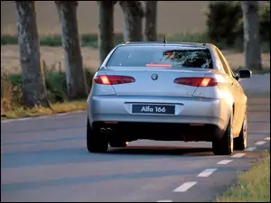 Ulica, Alfa Romeo 166, Drzewa