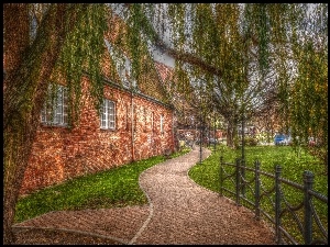 Polska, Gdańsk, Budynek, HDR, Alejka, Drzewo